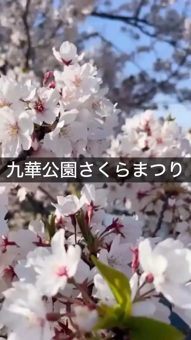 動画編集の勉強会！